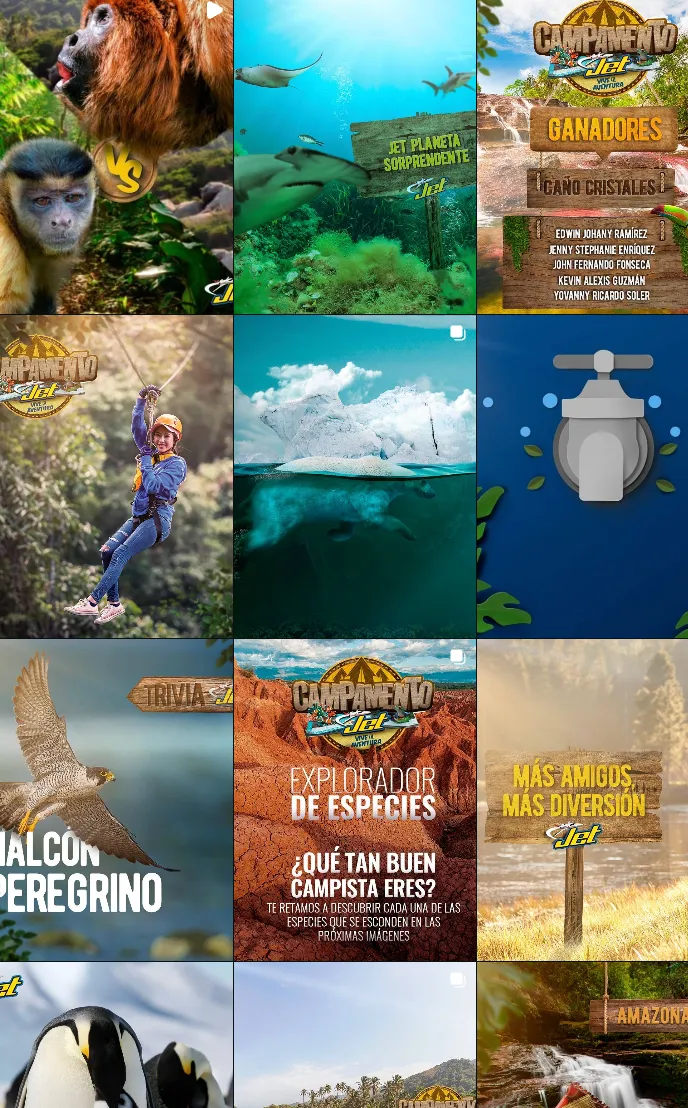 Mosaïque de contenus nature